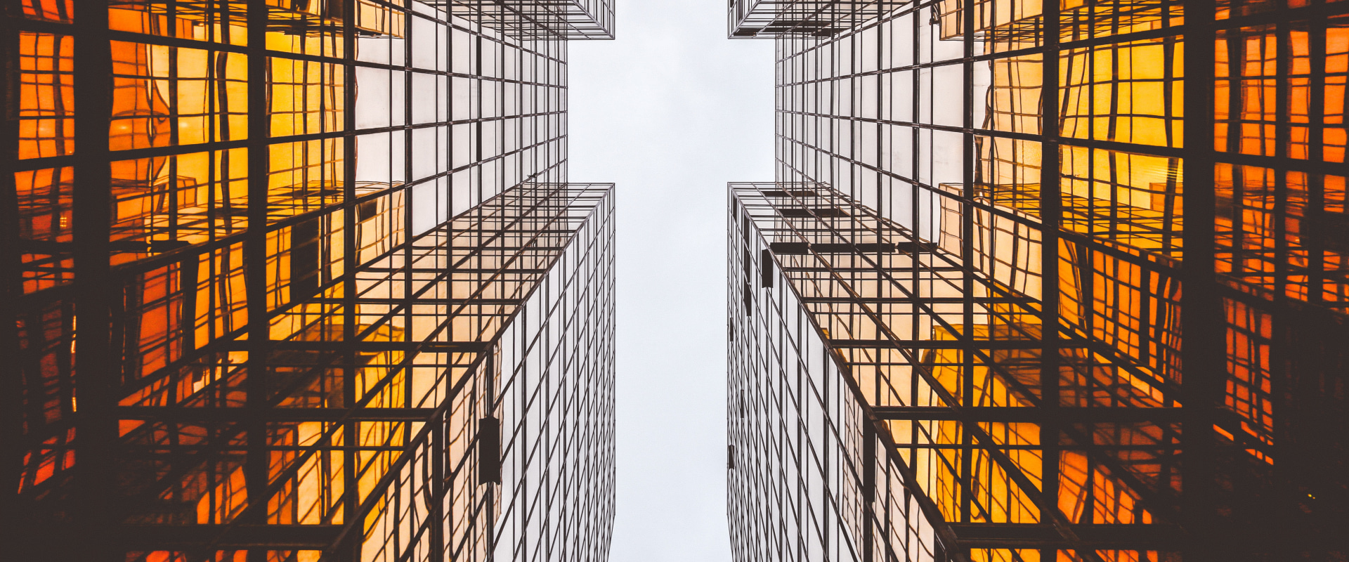 What is the difference between a point spread and a moneyline bet?