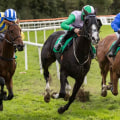 What are the different types of bets?