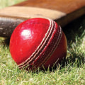 What are the most popular sports to bet on?