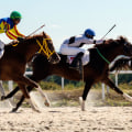 Are there any tips for successful horse racing betting?