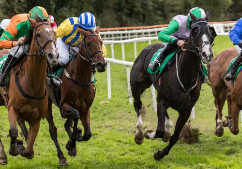 What are the different types of bets?
